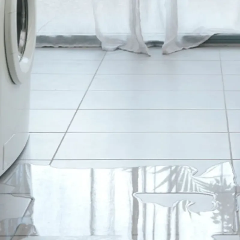 Appliance Leak Cleanup in Dawson County, GA