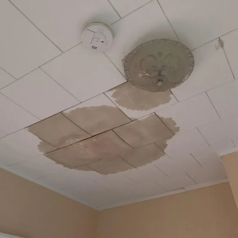 Ceiling Water Damage Repair in Dawson County, GA