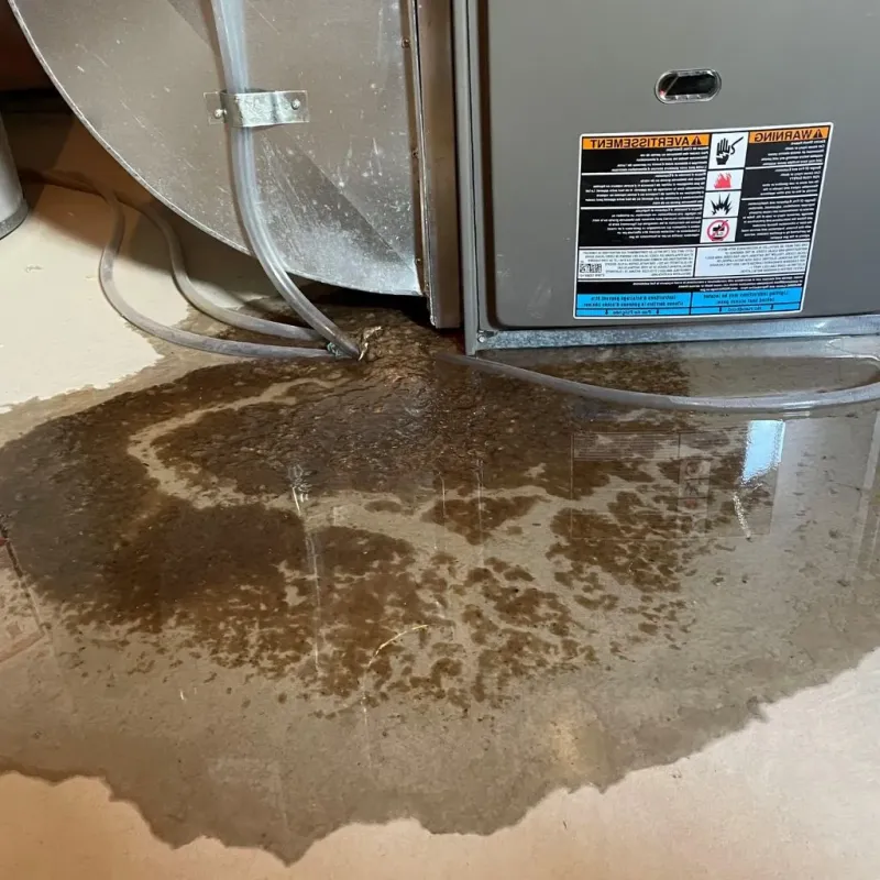 Pipe Burst and Leak Restoration in Dawson County, GA