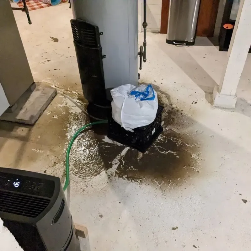 Sewage Backup Cleanup Service in Dawson County, GA